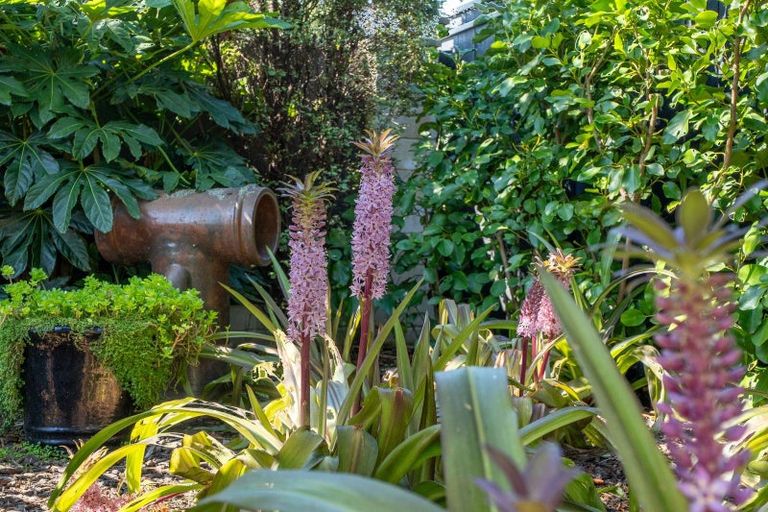 Photo of property in 8 Petrel Close, Paraparaumu Beach, Paraparaumu, 5032