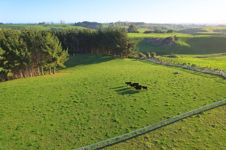 Photo of property in 11c Jones Road, Lichfield, Putaruru, 3482
