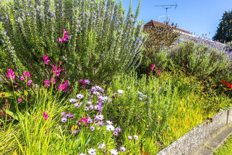 Photo of property in 2f2- Benzie Avenue, Elderslea, Upper Hutt, 5018