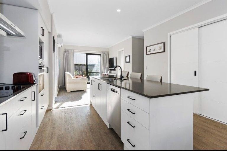 Photo of property in 14u2 Abbotsford Street, Whitiora, Hamilton, 3200