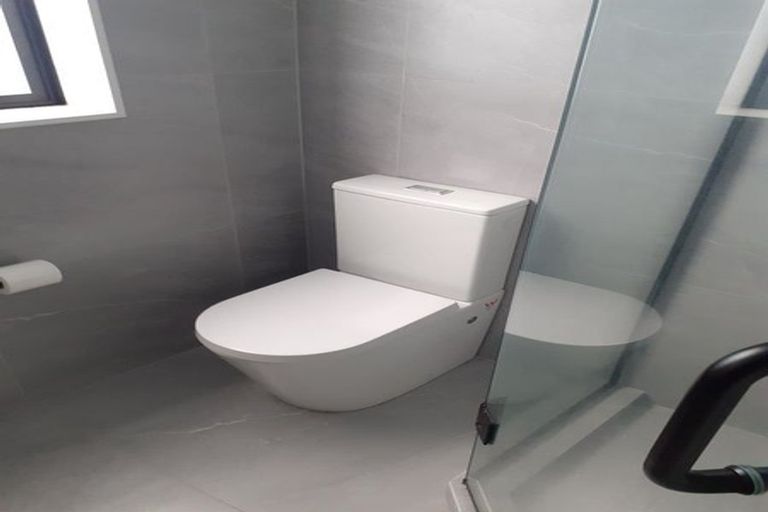 Photo of property in 45 Drumnaconagher Road, Flat Bush, Auckland, 2019