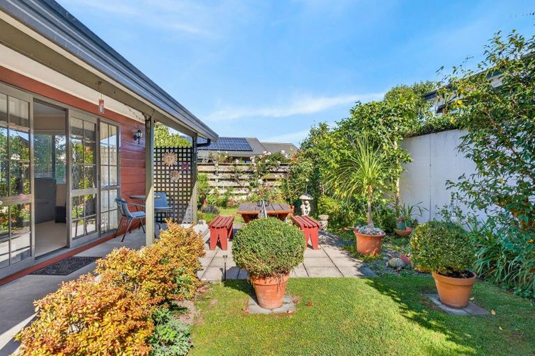 Photo of property in 601 Beech Road, Akina, Hastings, 4122
