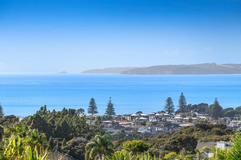 Photo of property in 99 Waldorf Crescent, Orewa, 0931