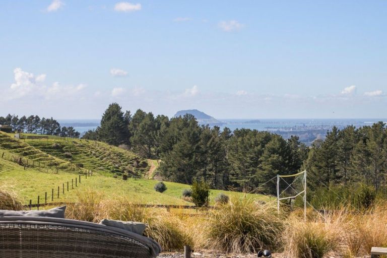 Photo of property in 349a Whakamarama Road, Whakamarama, Tauranga, 3179