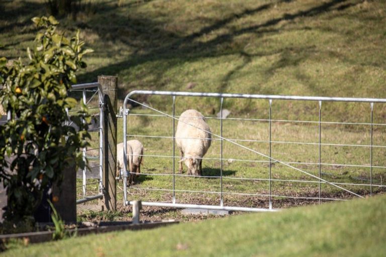 Photo of property in 29c Pheasant Close, Rotokauri, Hamilton, 3289