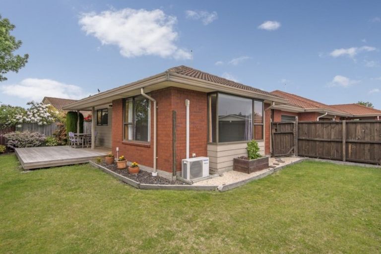 Photo of property in 41 Monaghan Street, Northwood, Christchurch, 8051
