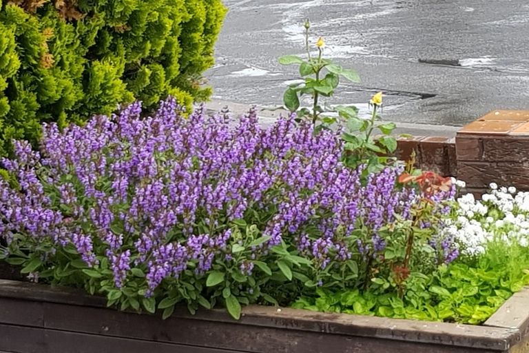 Photo of property in 5 Chokebore Place, Sockburn, Christchurch, 8042