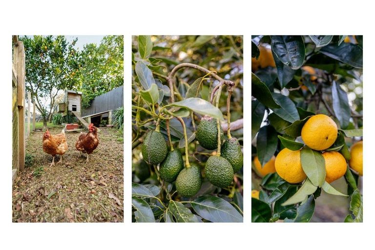 Photo of property in 8 Lochinvar Place, Hairini, Tauranga, 3112