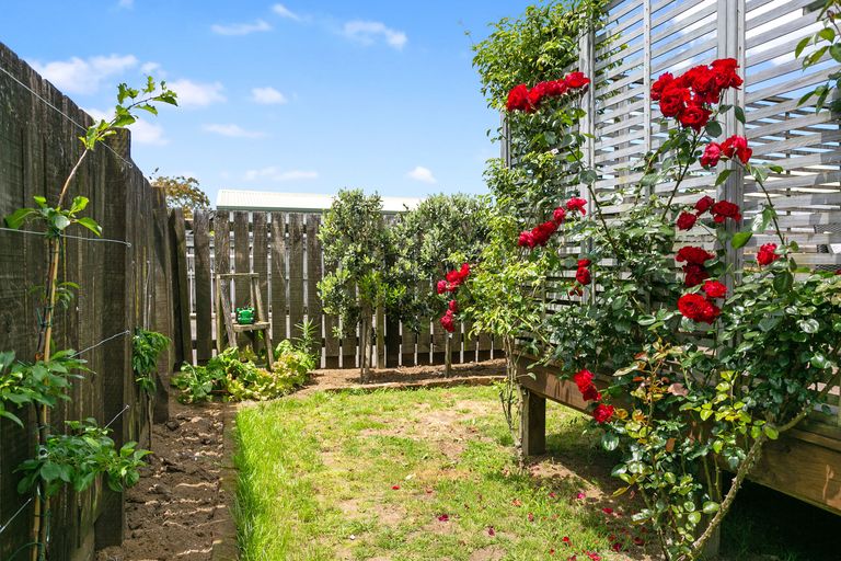 Photo of property in 24b Princes Street, Cambridge, 3434