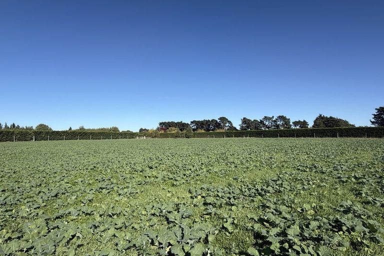 Photo of property in 118 Mairaki Road, Fernside, Rangiora, 7471