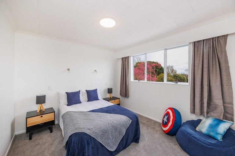 Photo of property in 20 Karina Terrace, Roslyn, Palmerston North, 4414