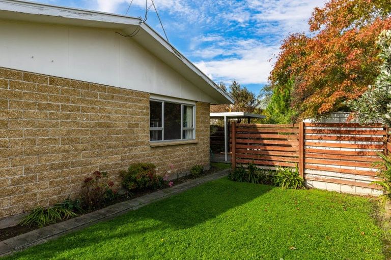 Photo of property in 10c Eltham Road, Blenheim, 7201