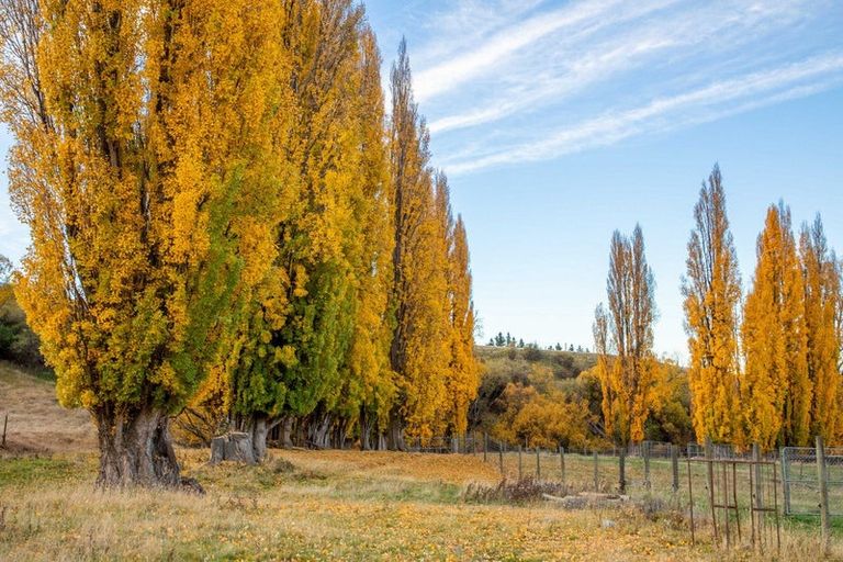 Photo of property in 192 Heaney Road, Cromwell, 9384