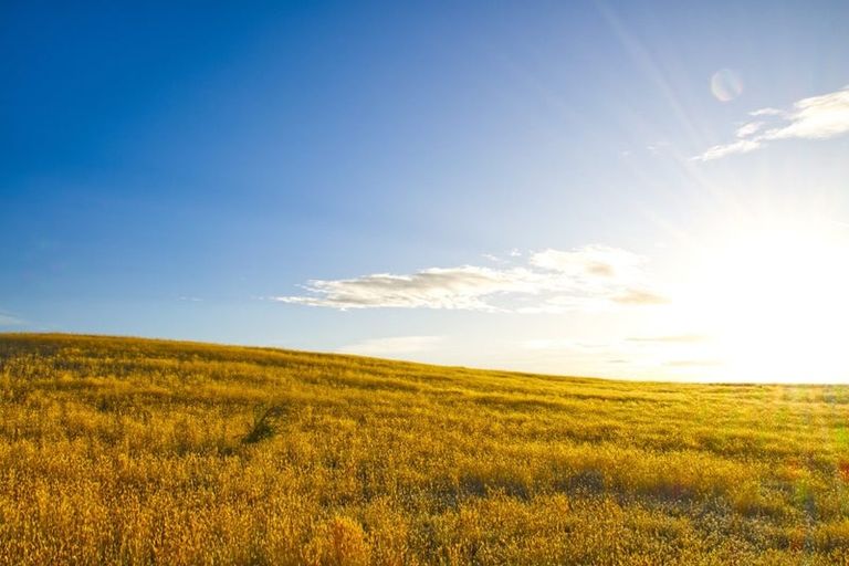 Photo of property in 45 Mcarthur Road, Springvale, Alexandra, 9391