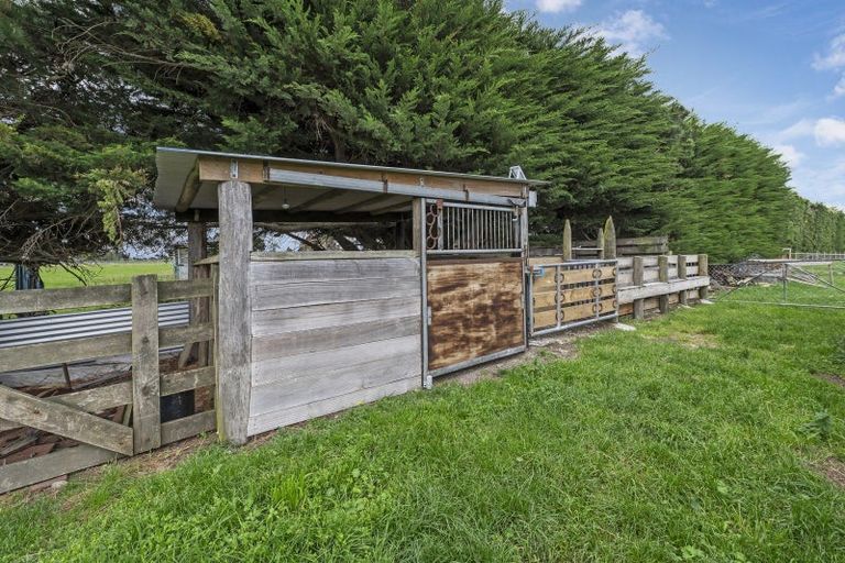 Photo of property in 224 Amberley Beach Road, Amberley, 7481