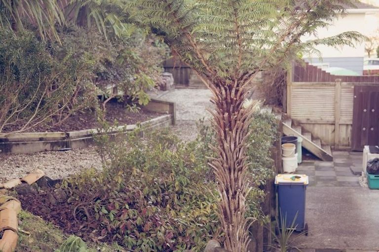Photo of property in 62 Kohekohe Street, New Lynn, Auckland, 0600