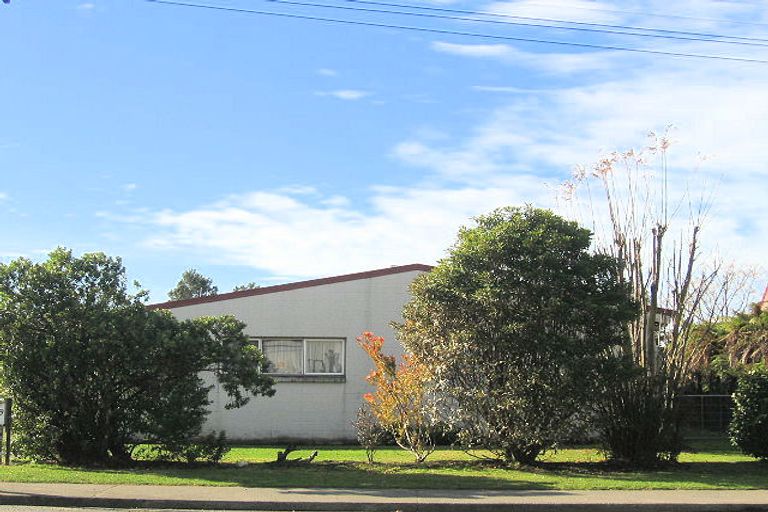 Photo of property in 309 Frederick Street, Mahora, Hastings, 4120