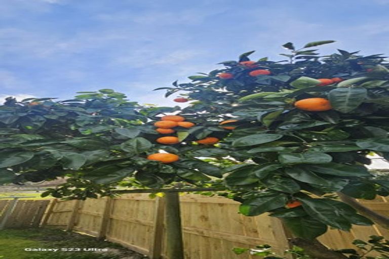 Photo of property in 9a Trigg Place, Bader, Hamilton, 3206