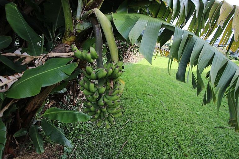 Photo of property in 129 Peria Road, Peria, Kaitaia, 0482