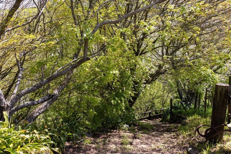 Photo of property in 1/180 Oreipunga Road, Maungatautari, Cambridge, 3494