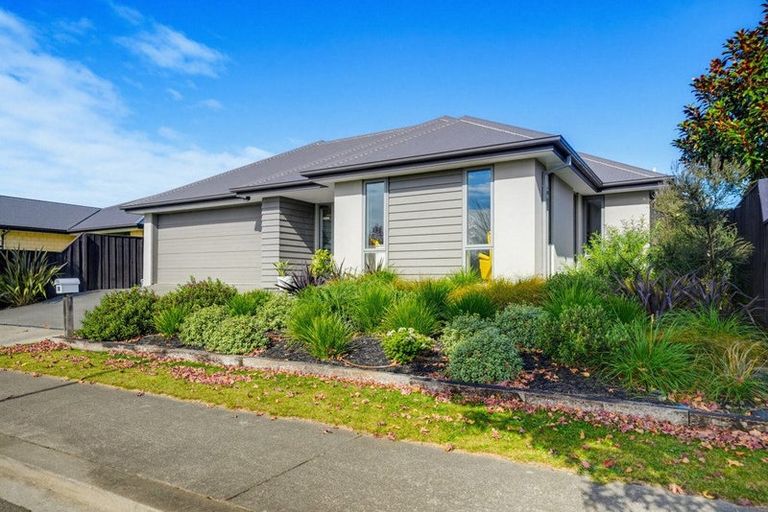Photo of property in 55 Tutaipatu Avenue, Pegasus, 7612