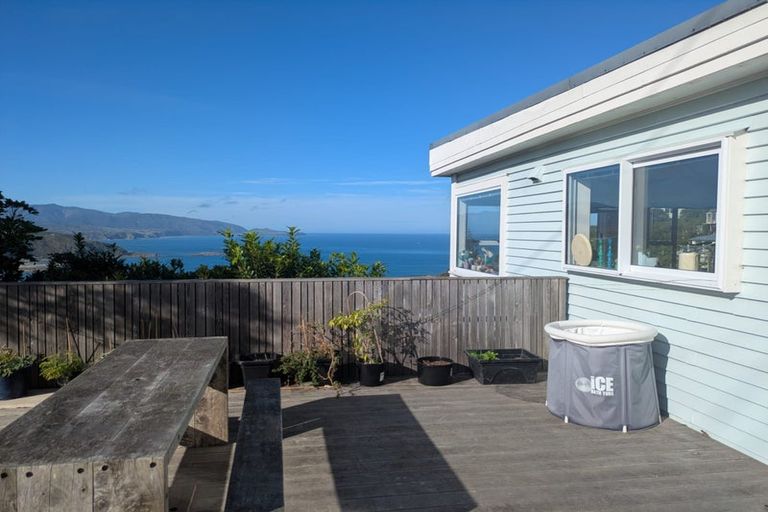 Photo of property in 49 Hornsey Road, Melrose, Wellington, 6023