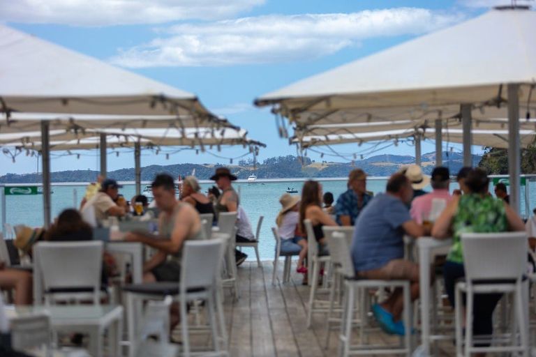 Photo of property in 9 Silver Fern Avenue, Hobsonville, 0616