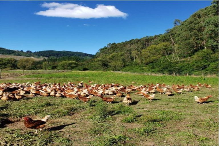Photo of property in 275 Riwaka Valley Road, Riwaka, Motueka, 7198