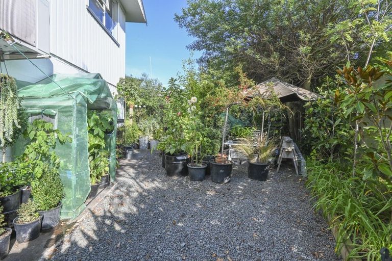 Photo of property in 23 Rakau Street, Havelock North, 4130