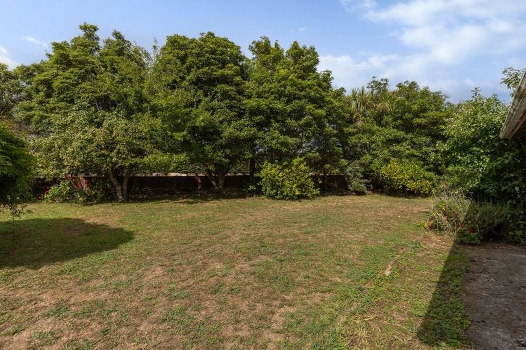 Photo of property in 89 Strathmore Avenue, Levin, 5510