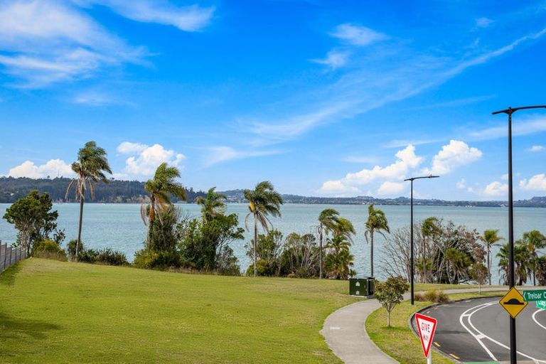 Photo of property in 49 Treloar Crescent, Hobsonville, Auckland, 0616