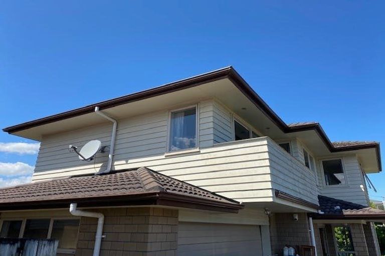 Photo of property in 49 Halver Road, Hillpark, Auckland, 2102
