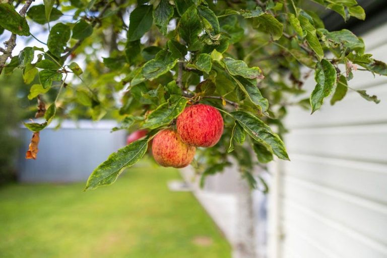 Photo of property in 32 Salisbury Avenue, Whanganui East, Whanganui, 4500