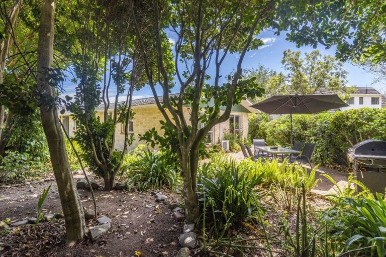 Photo of property in 29b Kanawa Street, Waikanae, 5036