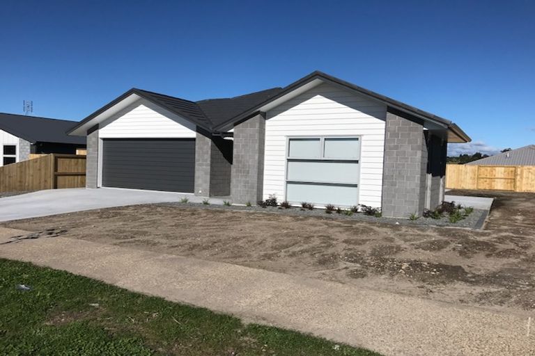 Photo of property in 28 Materawaho Way, Pyes Pa, Tauranga, 3112
