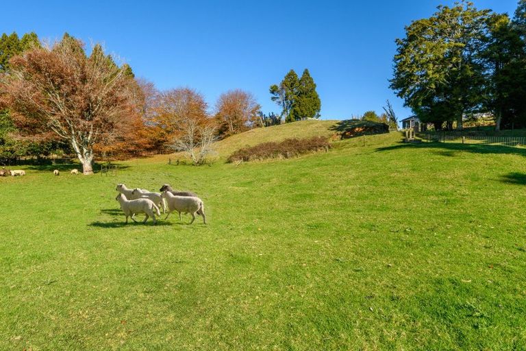 Photo of property in 98 Glue Pot Road, Oropi, Tauranga, 3173