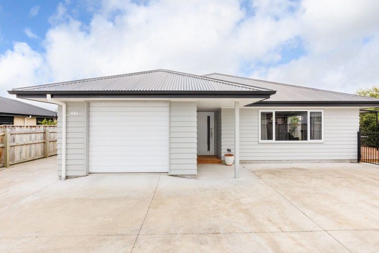 Photo of property in 44a Pharazyn Street, Feilding, 4702
