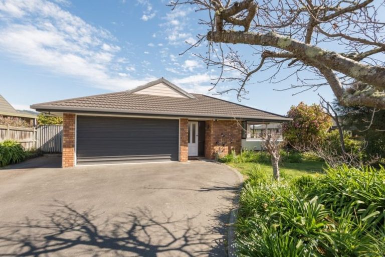 Photo of property in 33 Farnham Drive, Richmond, 7020