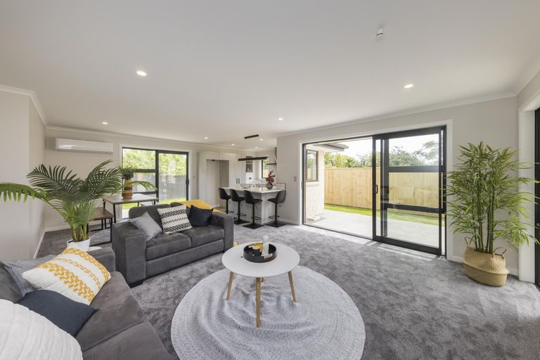 Photo of property in 107a Queen Street West, Levin, 5510