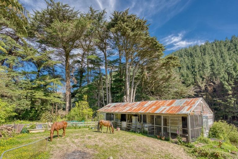 Photo of property in 305 Mangaone Road, Hautere, Otaki, 5582