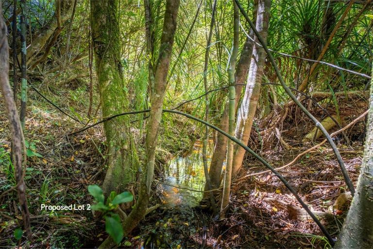 Photo of property in 425 Pakawau-bush Road, Pakawau, Collingwood, 7073