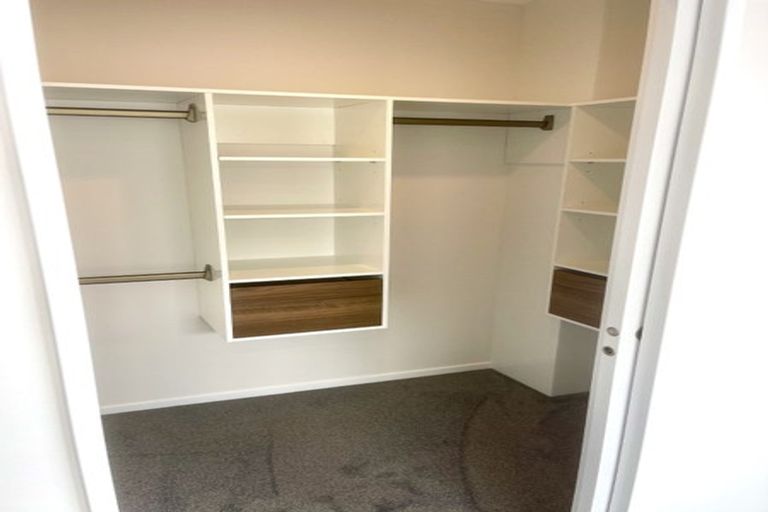 Photo of property in 17 Cyperus Street, Flat Bush, 2019