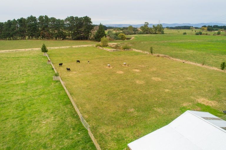 Photo of property in 232 Nannestads Line, Bunnythorpe, Feilding, 4775