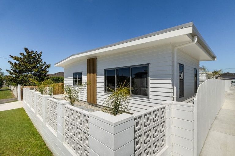 Photo of property in 102 Auckland Road, Greenmeadows, Napier, 4112