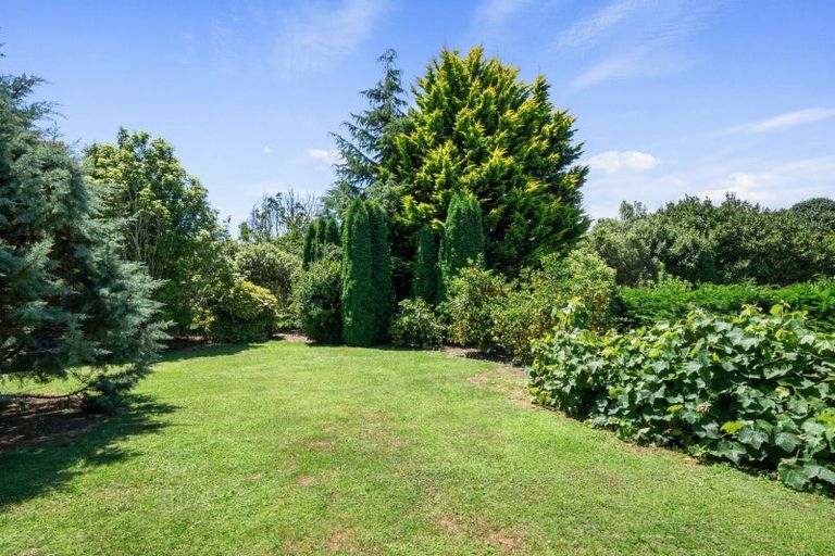 Photo of property in 51 Pohutukawa Drive, Levin, 5571