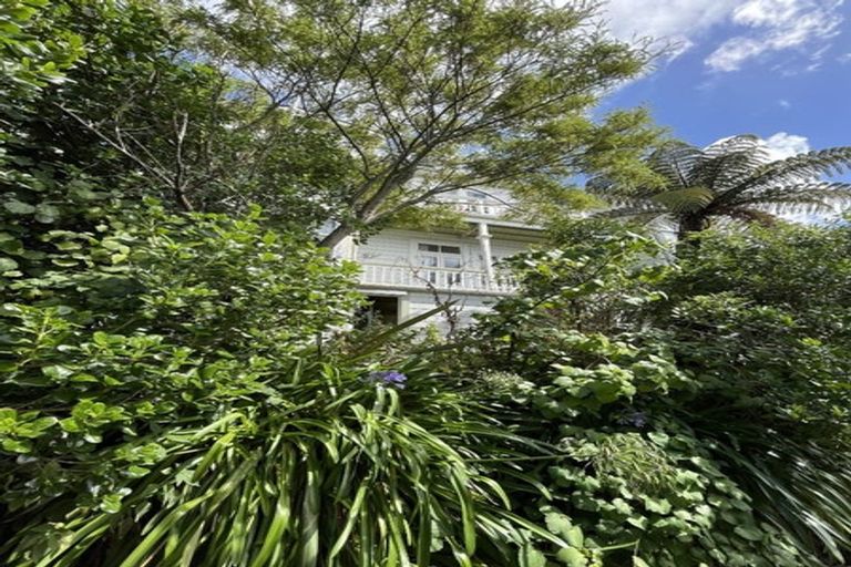 Photo of property in 103 Tasman Street, Mount Cook, Wellington, 6021