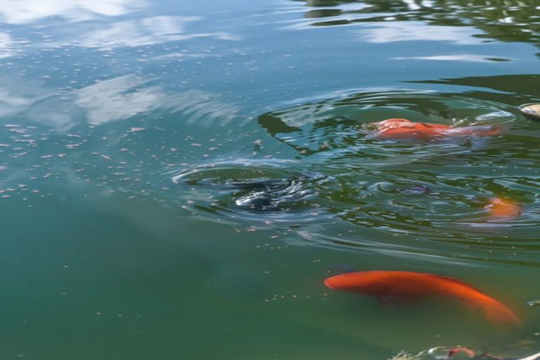 Photo of property in 5 Ethan Place, Ohauiti, Tauranga, 3112