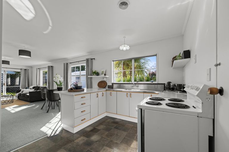 Photo of property in 10a Ihle Street, Terrace End, Palmerston North, 4410