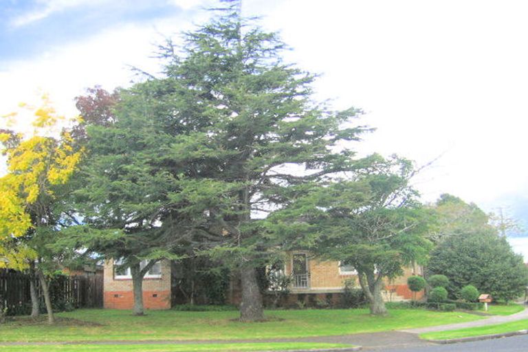 Photo of property in 69 Allenby Road, Papatoetoe, Auckland, 2025