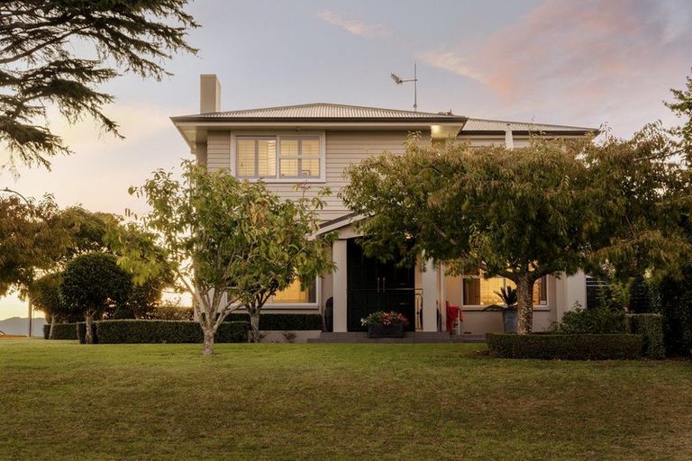 Photo of property in 75 Fifth Avenue, Tauranga, 3110